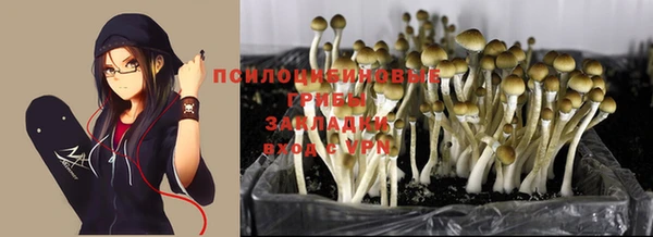 марки nbome Тихвин