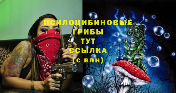 ECSTASY Беломорск